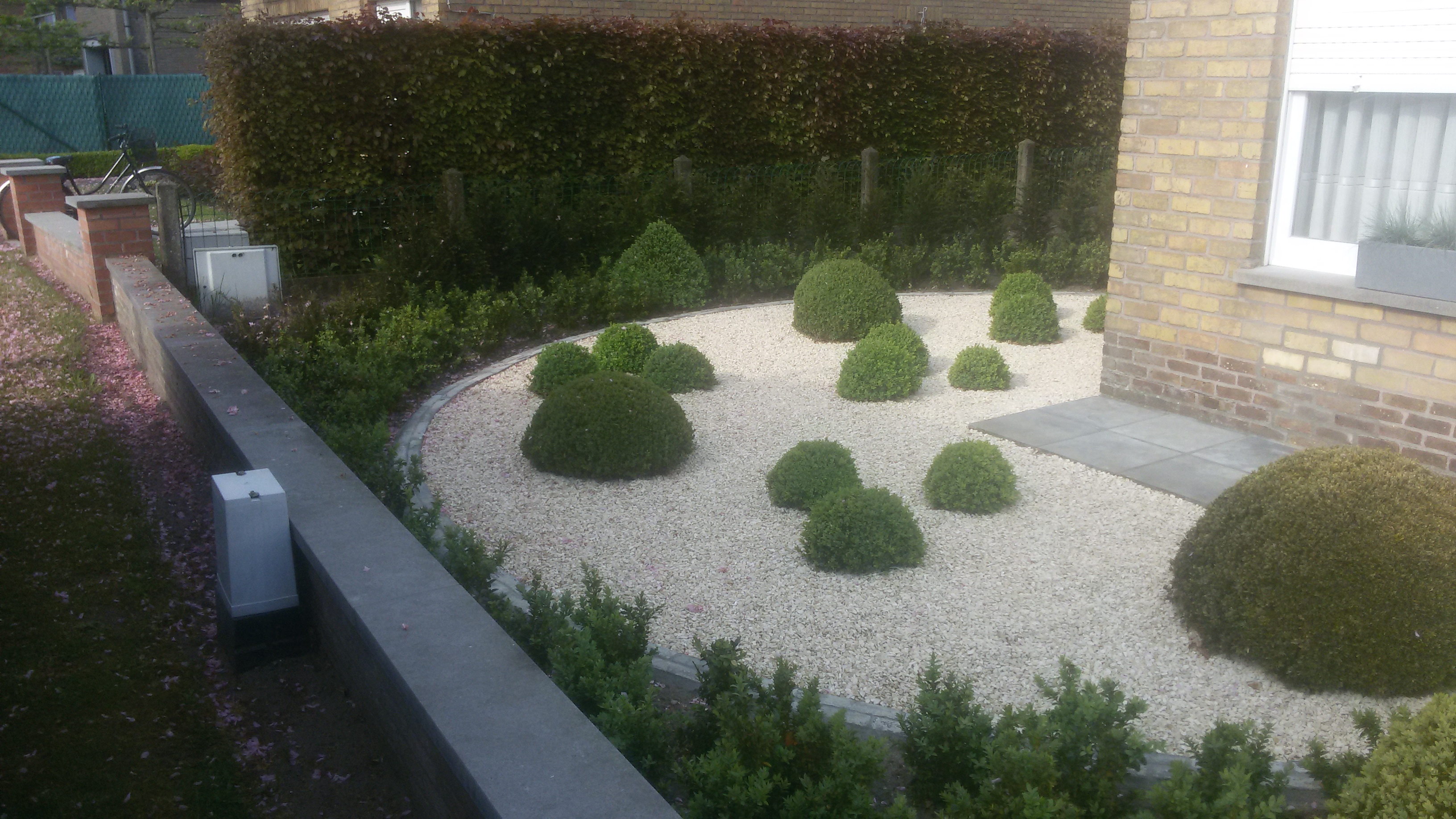 voortuin voortuin met grind en buxus