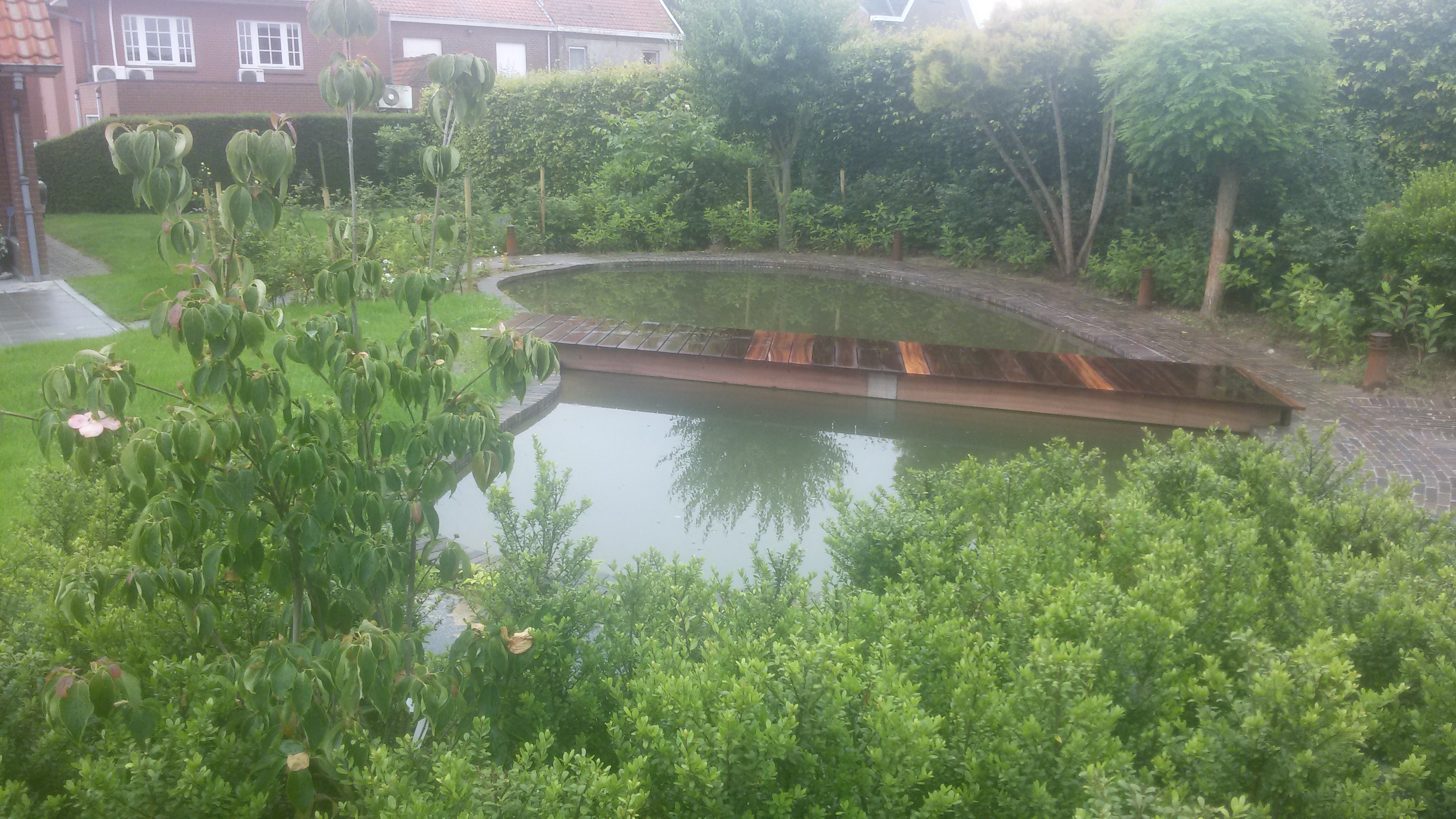 Koivijver met houten brug koivijver, vijver, tuinaanleg vijverbrug