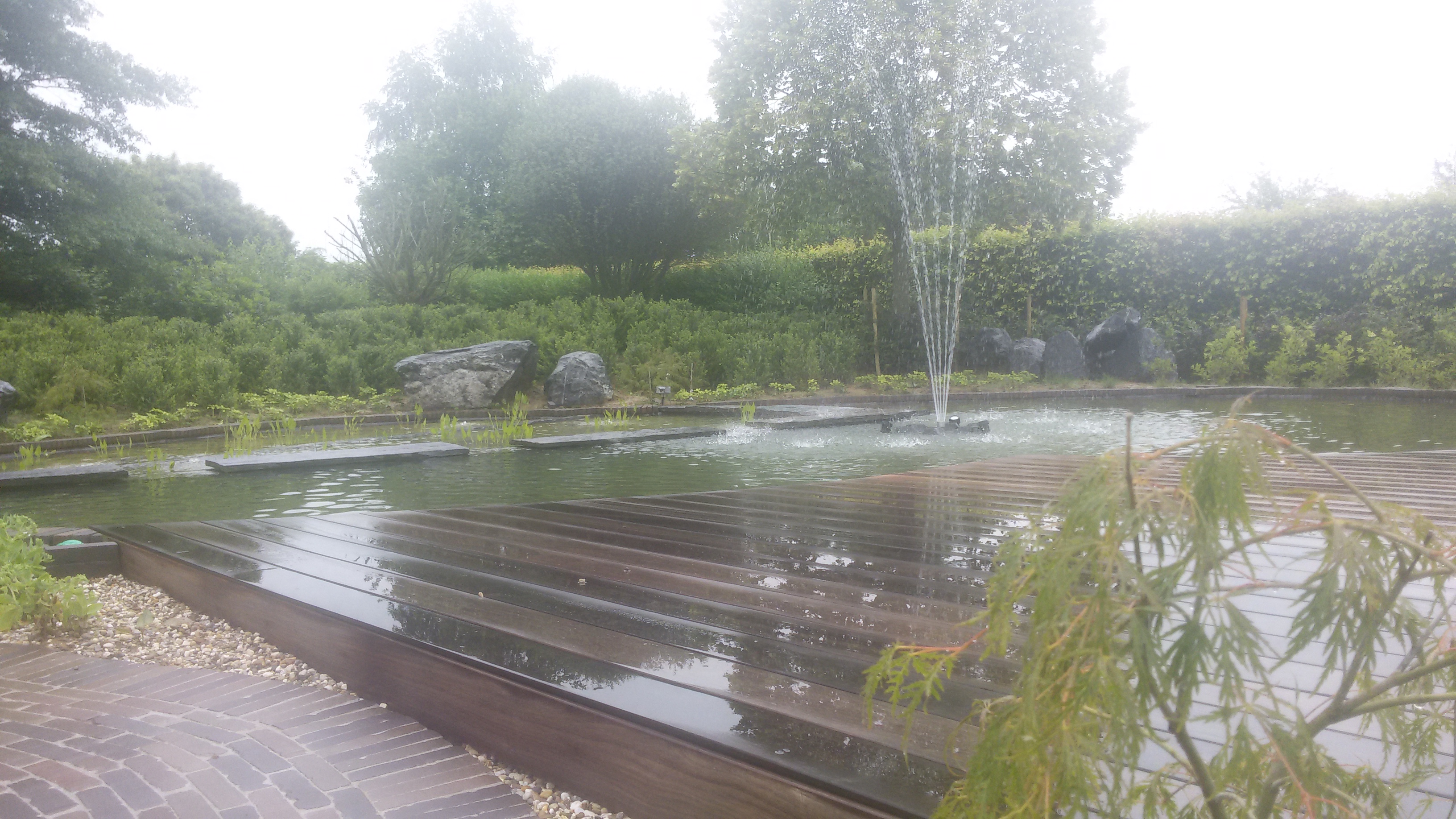Zwemvijver met houten terras zwemvijver houten terras biologische filter tuinaanleg
