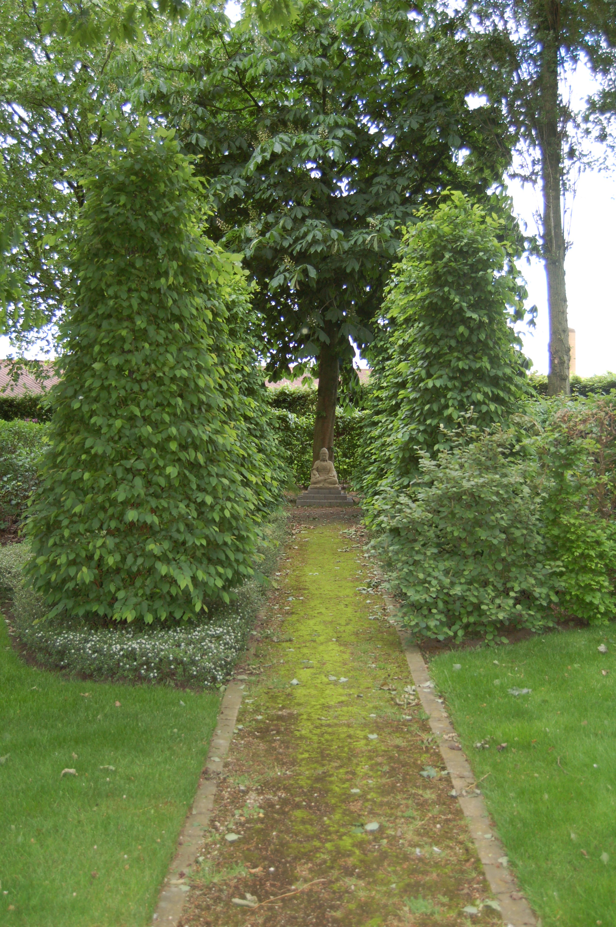 tuinpad met zicht op budda