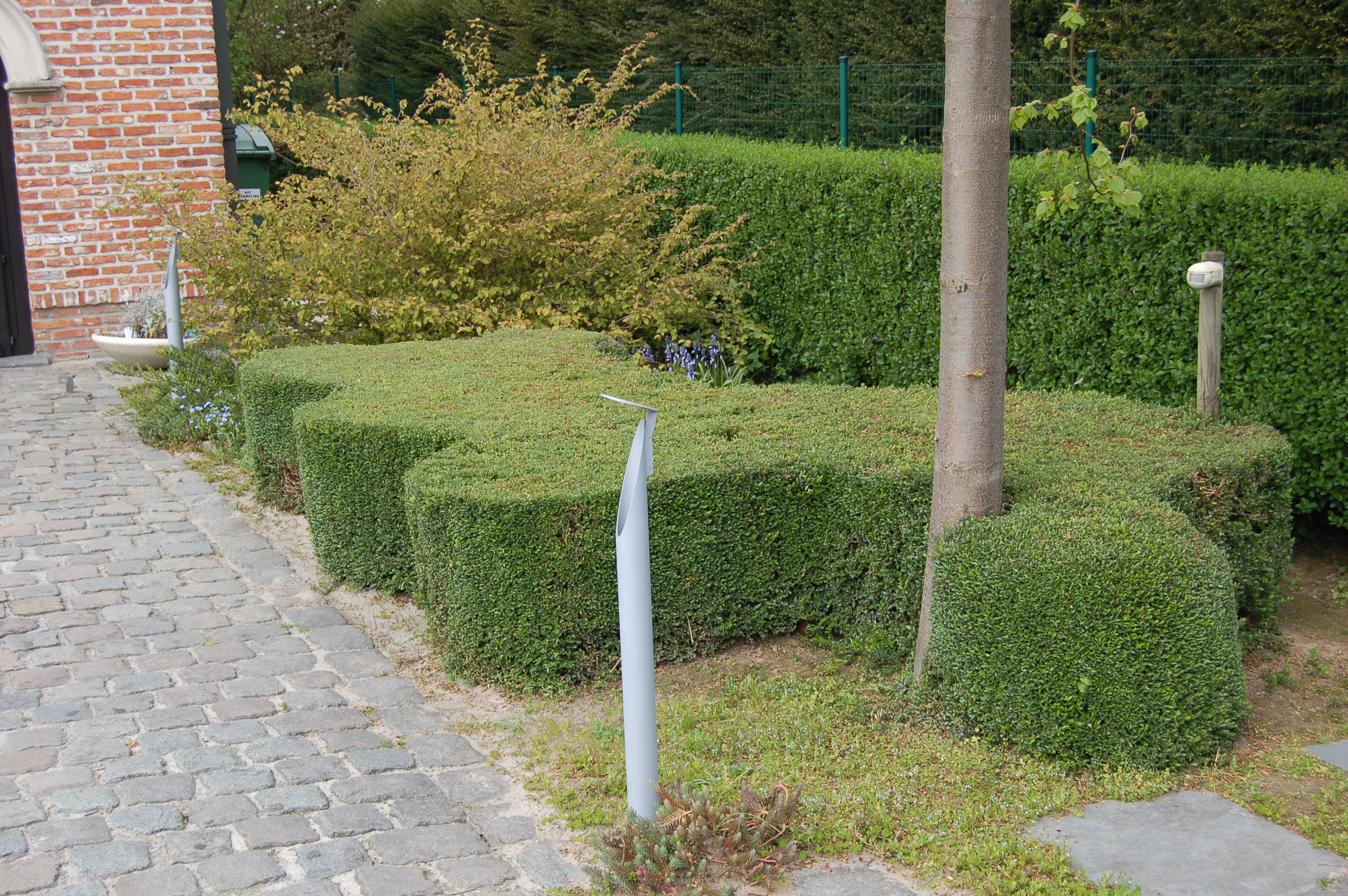 Tuin verlichting oprit snoeivorm