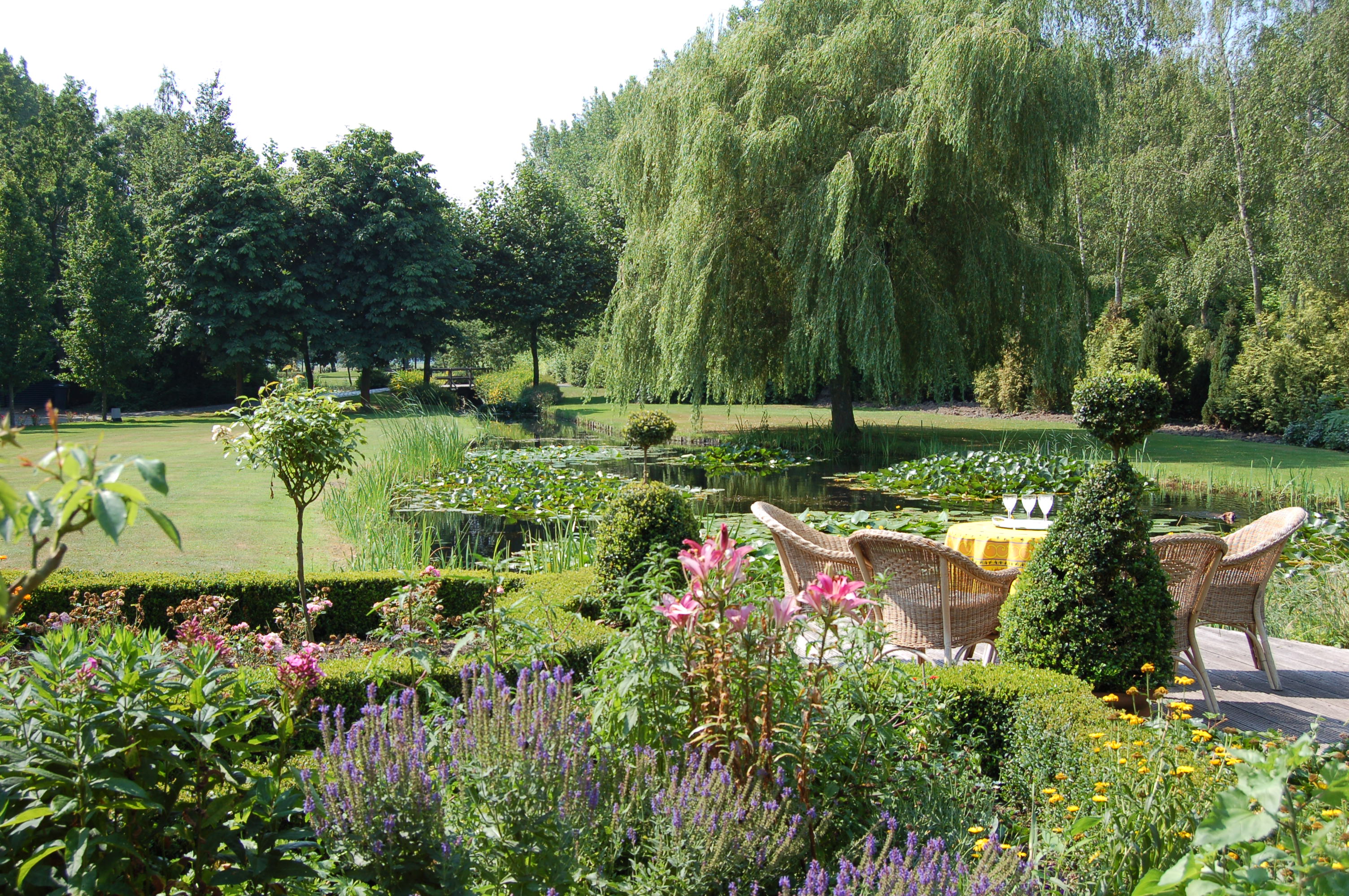 landschappelijke tuin met vijver