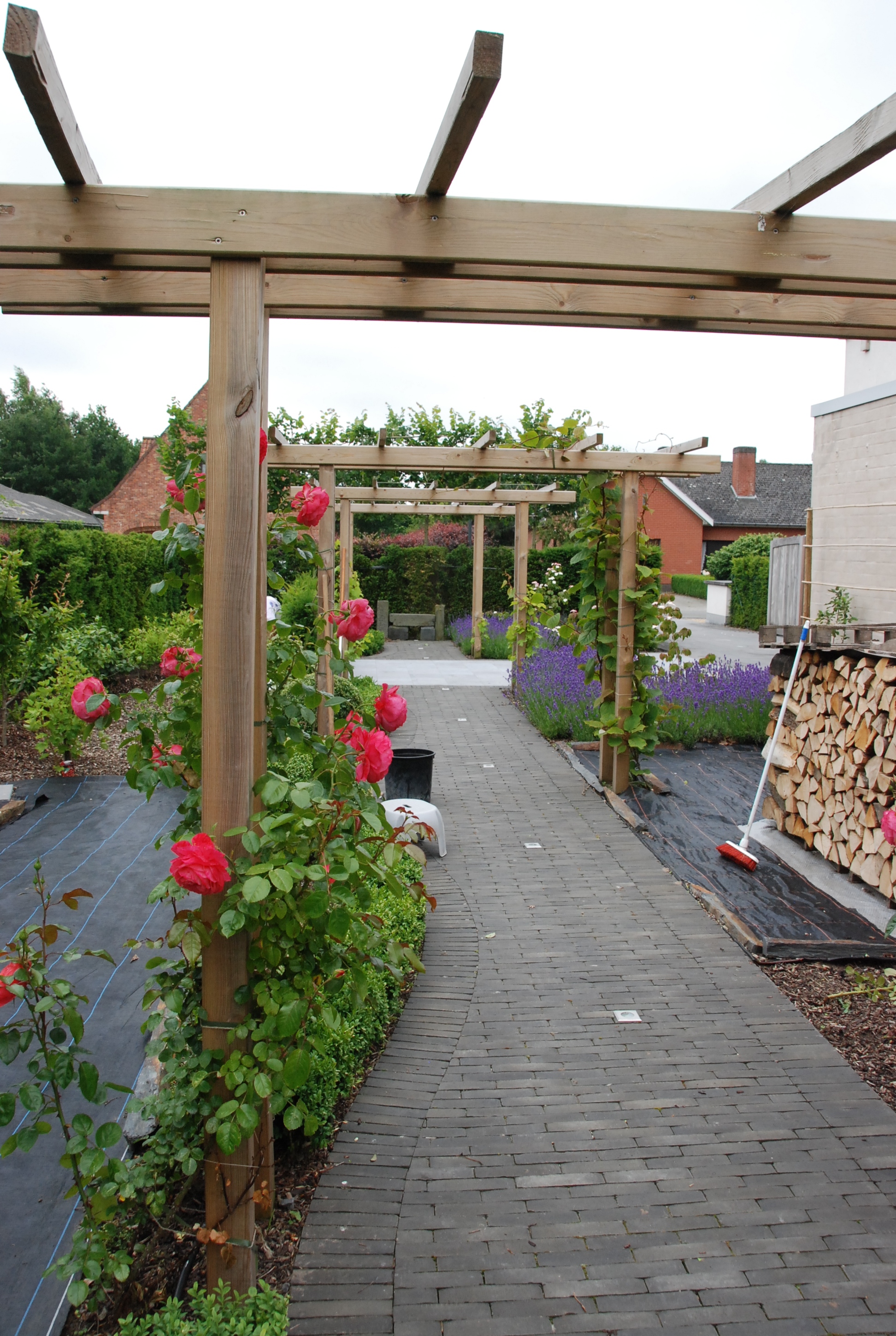 Slingerend kleiklinker pad met pergola in Maldegem