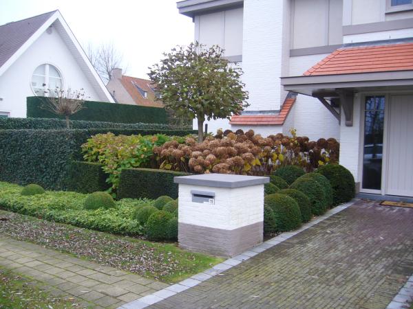 voortuin met buxus