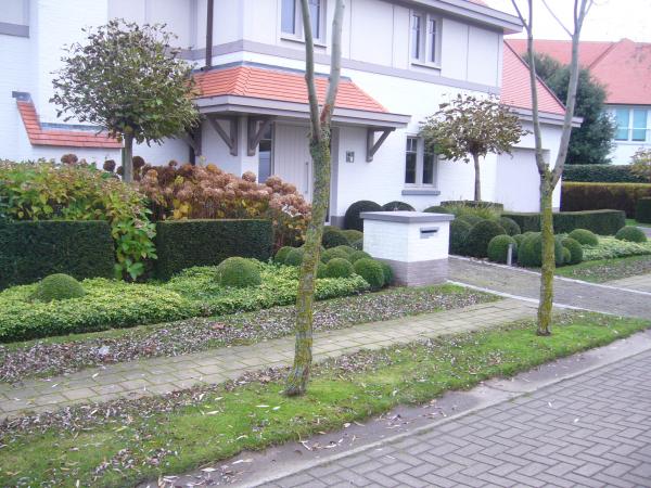 Voortuin met beplanting