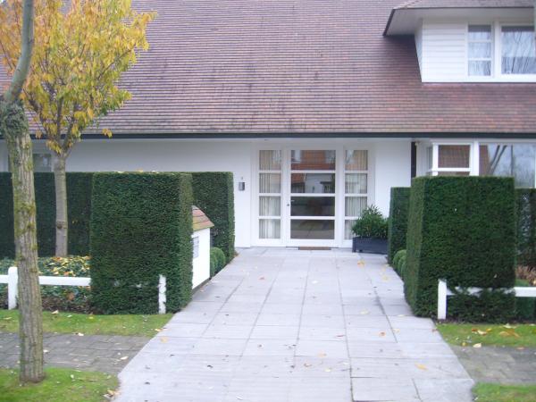 voortuin met taxus massieven