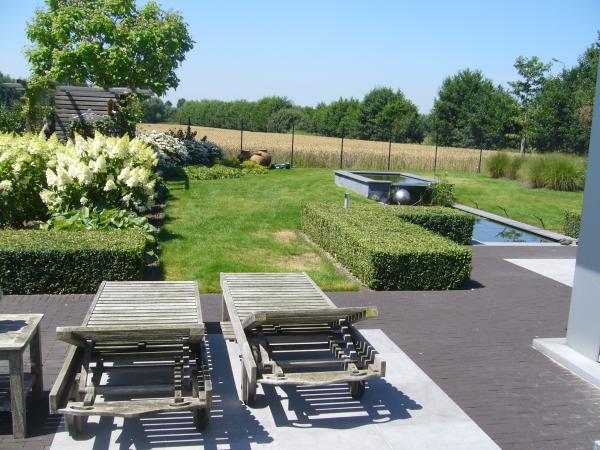 terras in blauwsteen met kleiklinker