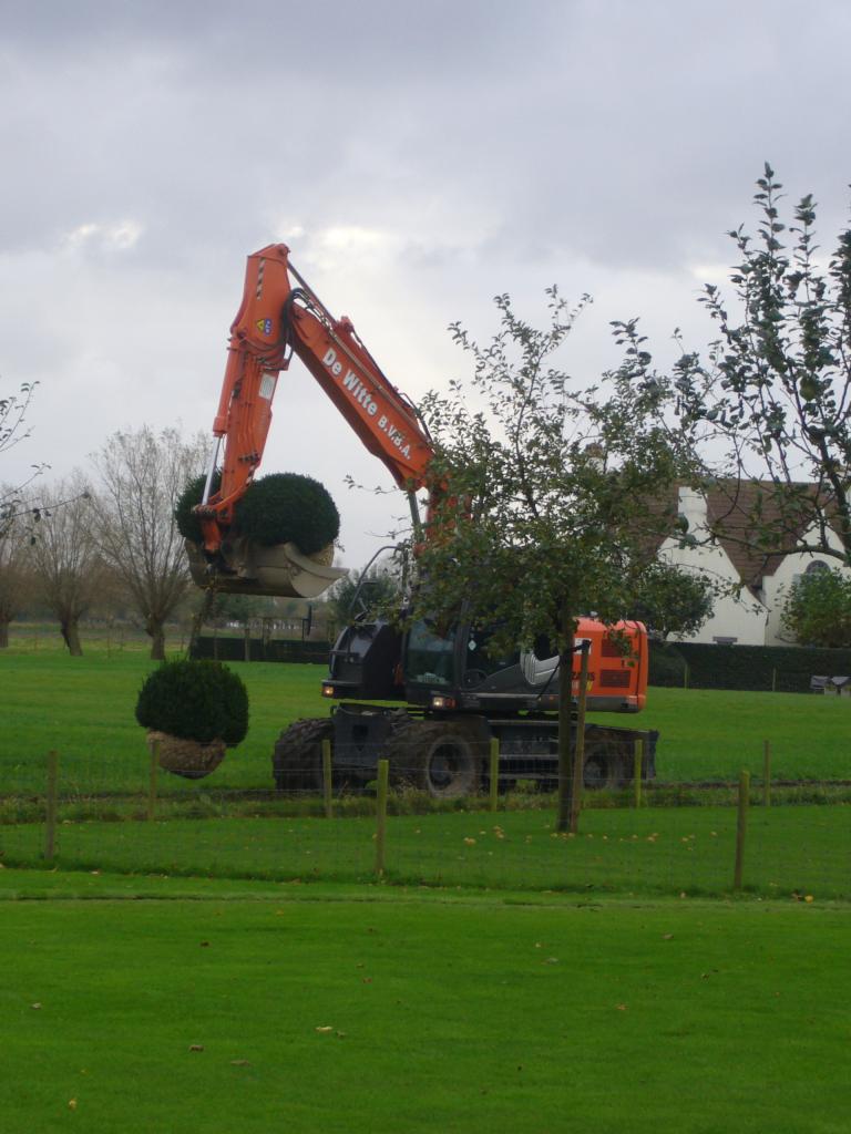 <a href="/node/286">Binnenbrengen buxus bollen in de tuin</a>