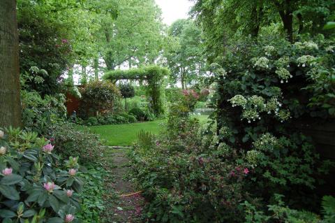 detail beplanting landschapstuin