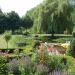 landschappelijke tuin met vijver